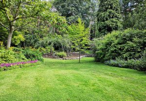 Optimiser l'expérience du jardin à Villers-Vicomte